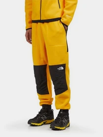 Брюки The North Face модель NF0A7UR556P1 Фото