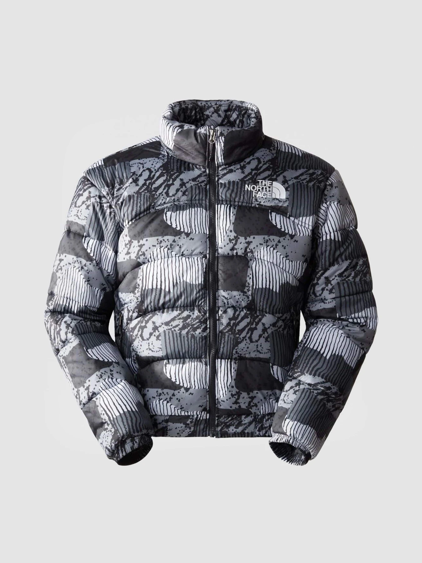 Куртки и дубленки The North Face 2000 Synthetic Puffer модель NF0A7UREONZ1 Фото
