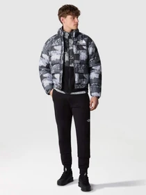 Куртки и дубленки The North Face 2000 Synthetic Puffer модель NF0A7UREONZ1 Фото