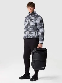 Куртки и дубленки The North Face 2000 Synthetic Puffer модель NF0A7UREONZ1 Фото