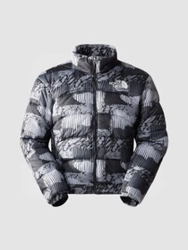 Куртки и дубленки The North Face 2000 Synthetic Puffer модель NF0A7UREONZ1 Фото