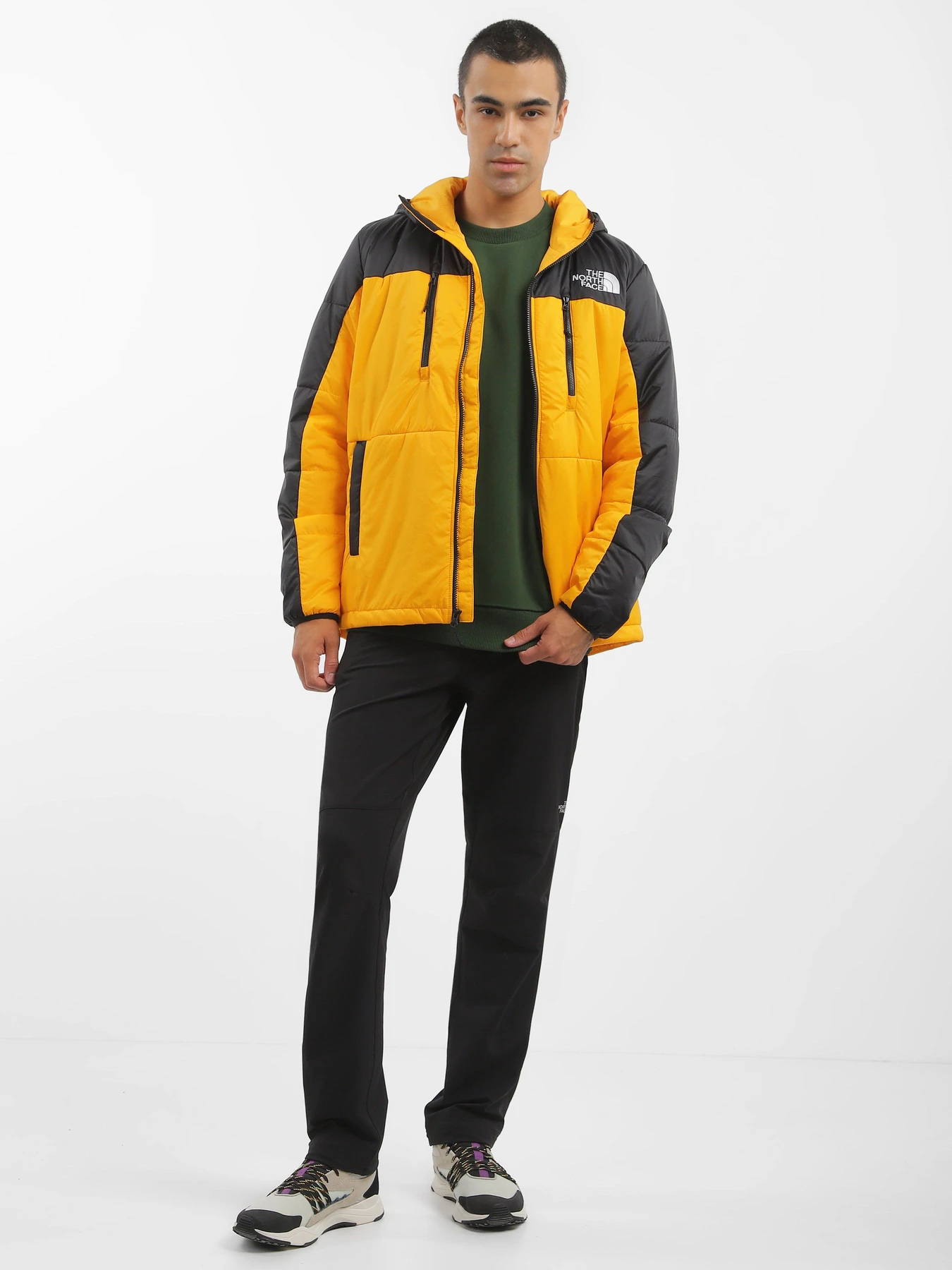 Куртки та дублянки The North Face Himalayan Light модель NF0A7WZXZU31 Фото