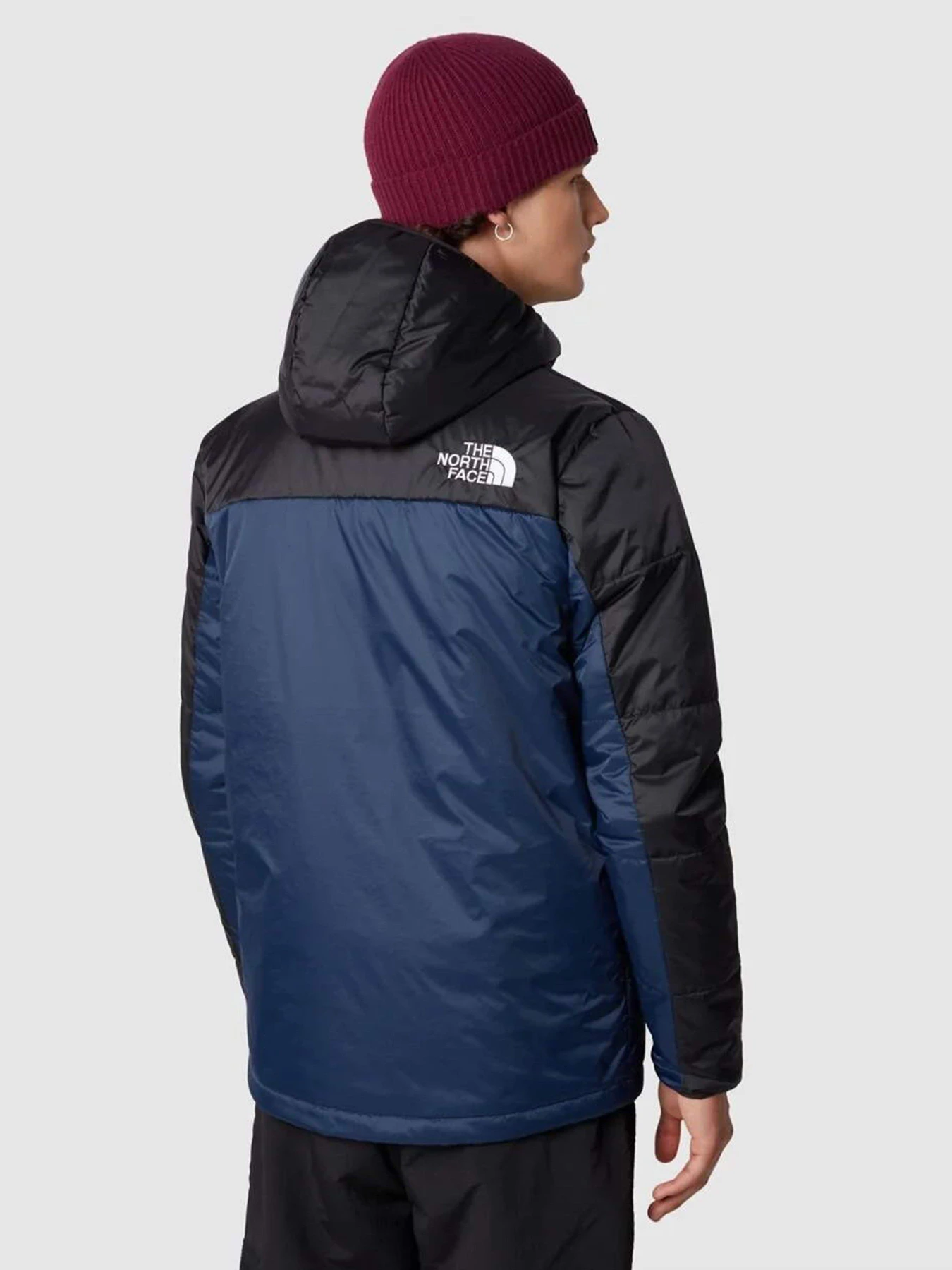 Куртки та дублянки The North Face Himalayan Light модель NF0A7WZX92A1 Фото