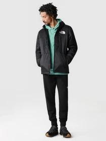 Куртки и дубленки The North Face Himalayan Light модель NF0A7WZXJK31 Фото