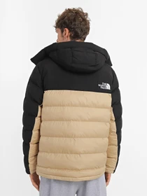 Куртки та дублянки The North Face 100 GLACIER FULL-ZIP FLEECE модель NF0A7WZYLK51 Фото