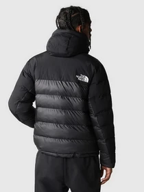 Куртки и дубленки The North Face Himalayan Insulated модель NF0A7WZYJK31 Фото