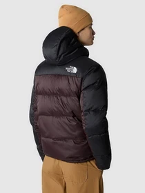 Куртки и дубленки The North Face Himalayan Light модель NF0A7X16LOS1 Фото