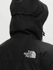 Куртки та дублянки The North Face GTX Mountain Guide Insulated модель NF0A831KJK31 Фото