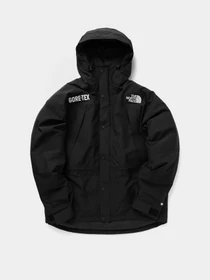 Куртки та дублянки The North Face GTX Mountain Guide Insulated модель NF0A831KJK31 Фото