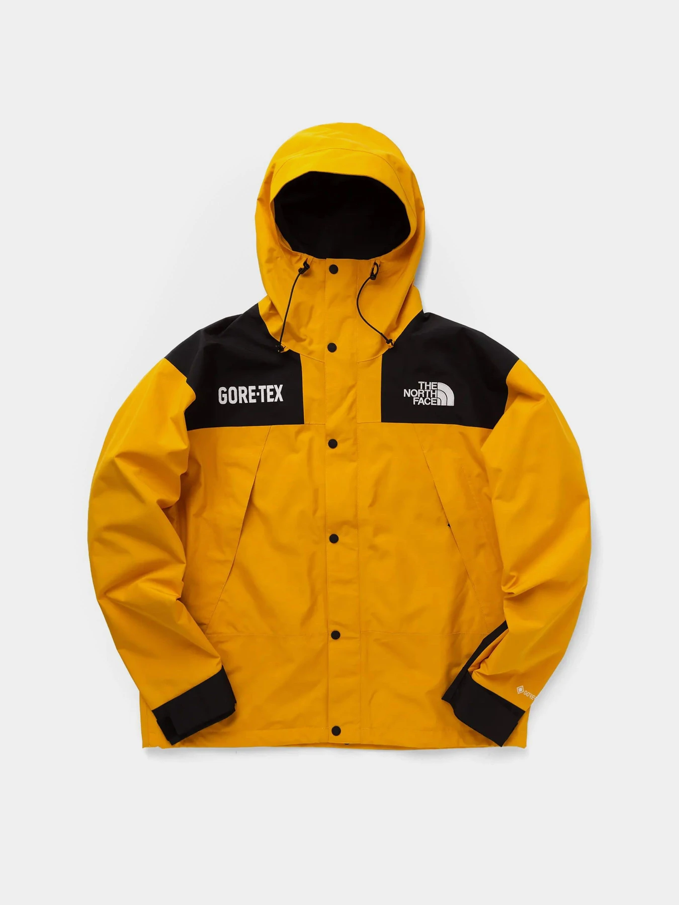 Куртки та дублянки The North Face GTX Mountain Guide Insulated модель NF0A831MZU31 Фото