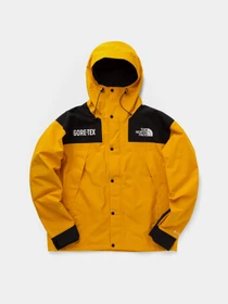 Куртки та дублянки The North Face GTX Mountain Guide Insulated модель NF0A831MZU31 Фото