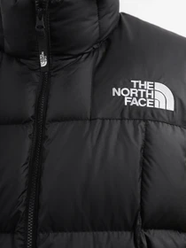 Куртки та дублянки The North Face Lhotse модель NF0A853DJK31 Фото