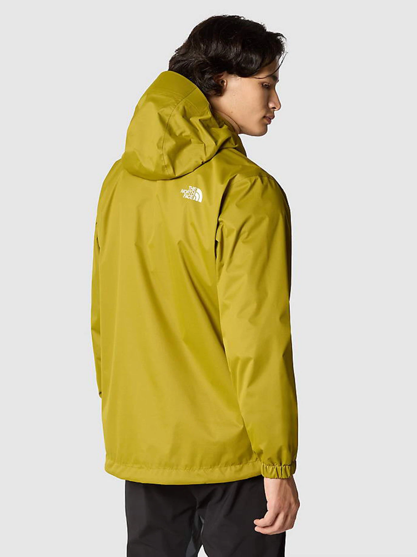 Куртки и дубленки The North Face Quest модель NF00A8AZJZI1 Куртки и дубленки The North Face Quest модель NF00A8AZJZI1 Фото
