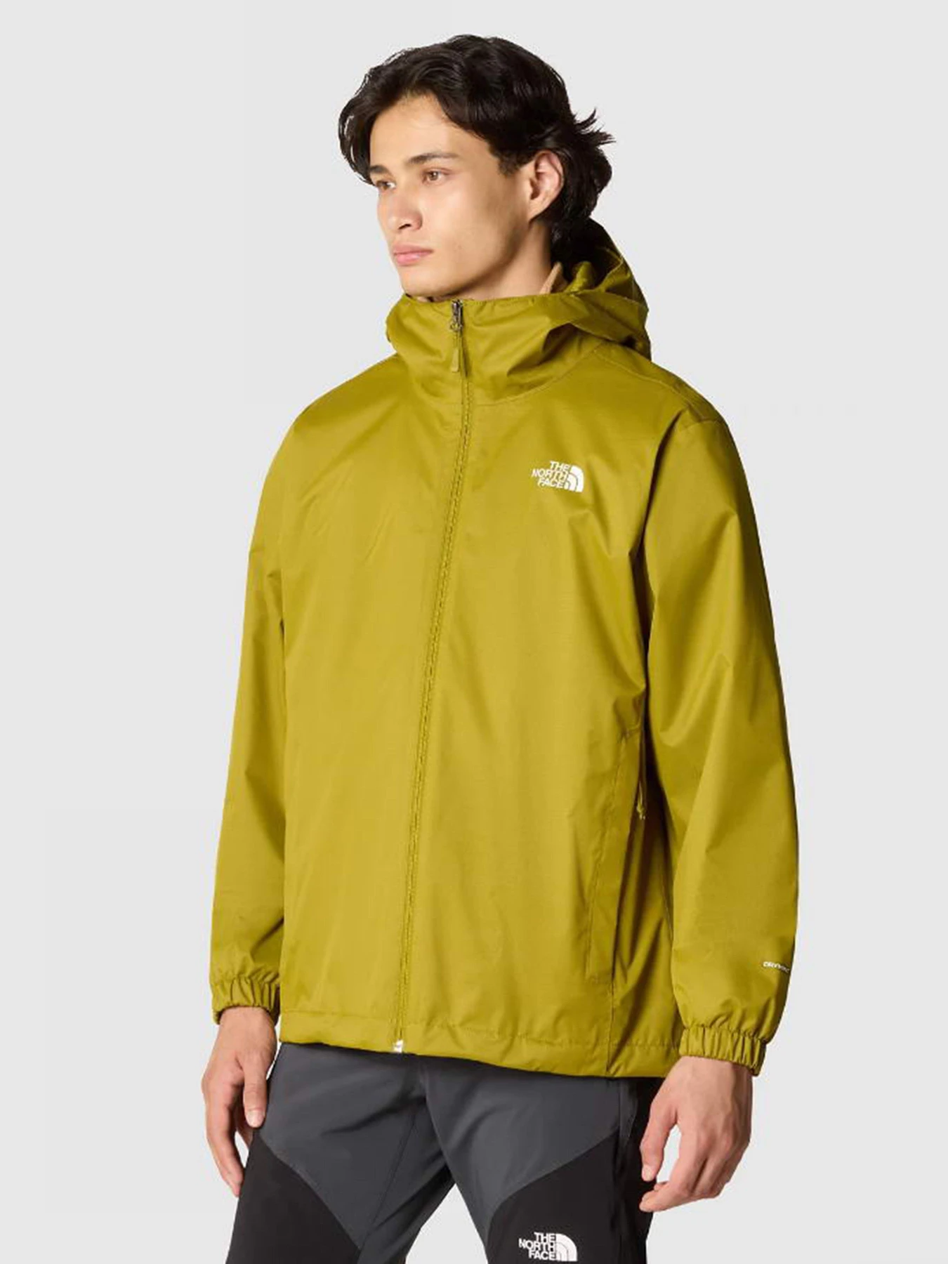 Куртки и дубленки The North Face Quest модель NF00A8AZJZI1 Куртки и дубленки The North Face Quest модель NF00A8AZJZI1 Фото