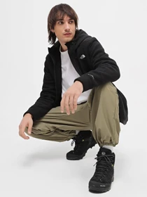 Худі та світшоти The North Face Alpine Polartec® 200 Full-Zip модель NF0A7UJ7KX71 Фото
