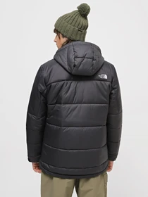 Куртки и дубленки The North Face Circular Diablo модель NF0A7ZIUKX71 Фото
