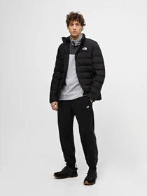 Куртки и дубленки The North Face Aconcagua 3 модель NF0A84HZJK31 Фото