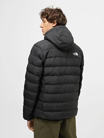 Куртки и дубленки The North Face Aconcagua 3 модель NF0A84I10C51 Фото