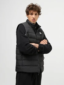 Куртки та дублянки The North Face Aconcagua 3 модель NF0A84IK0C51 Фото