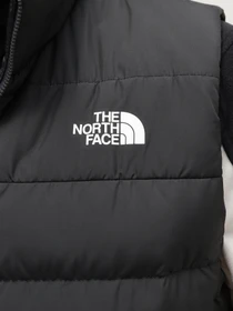 Куртки та дублянки The North Face Aconcagua 3 модель NF0A84IK0C51 Фото