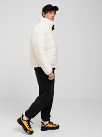 Куртки та дублянки The North Face High Pile 2000 модель NF0A859RN3N1 Фото
