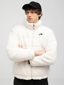 Куртки та дублянки The North Face High Pile 2000 модель NF0A859RN3N1 Фото