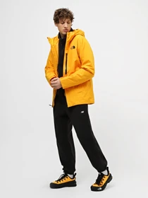 Куртки и дубленки The North Face Descendit модель NF0A4QWW56P1 Фото