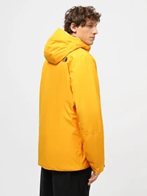 Куртки и дубленки The North Face Descendit модель NF0A4QWW56P1 Фото
