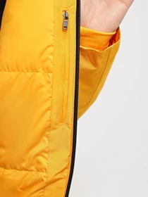 Куртки и дубленки The North Face Descendit модель NF0A4QWW56P1 Фото