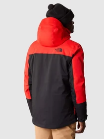 Куртки и дубленки The North Face Chakal модель NF0A5GM315Q1 Фото