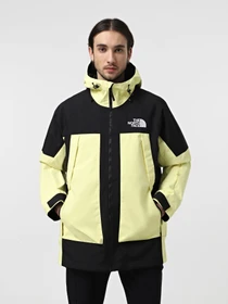 Куртки и дубленки The North Face Balfron модель NF0A7UTQKIM1 Фото