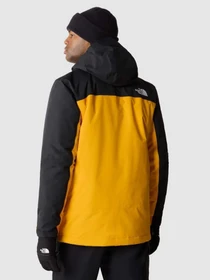 Куртки та дублянки The North Face Freedom модель NF0A82VUZU31 Фото