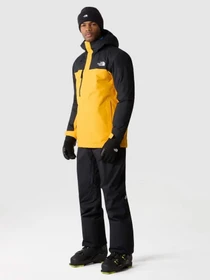 Куртки та дублянки The North Face Freedom модель NF0A82VUZU31 Фото