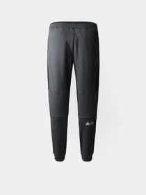 Брюки The North Face Mountain Athletics Polar модель NF0A823UMN81 Фото