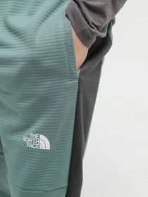 Брюки The North Face MA Fleece модель NF0A823UONO1 Фото