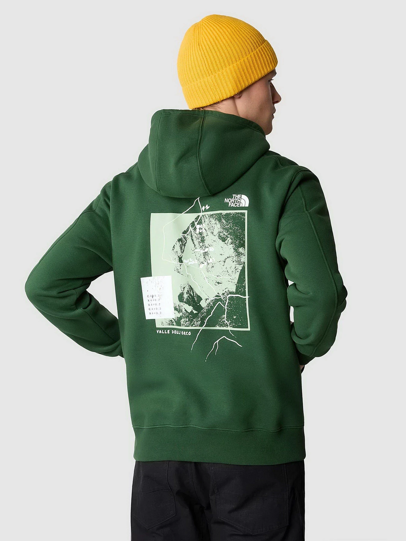 Худи и свитшоты The North Face Outdoor Graphic модель NF0A8522I0P1 Худи и свитшоты The North Face Outdoor Graphic модель NF0A8522I0P1 Фото