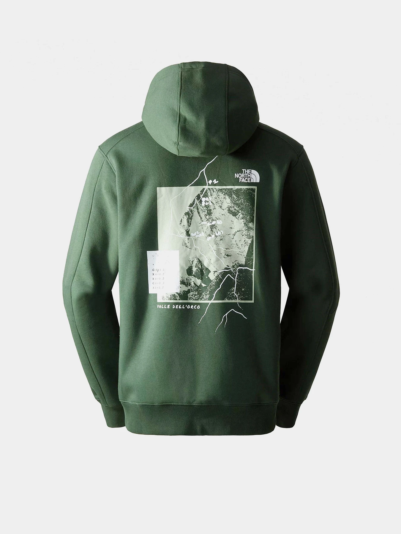 Худи и свитшоты The North Face Outdoor Graphic модель NF0A8522I0P1 Худи и свитшоты The North Face Outdoor Graphic модель NF0A8522I0P1 Фото