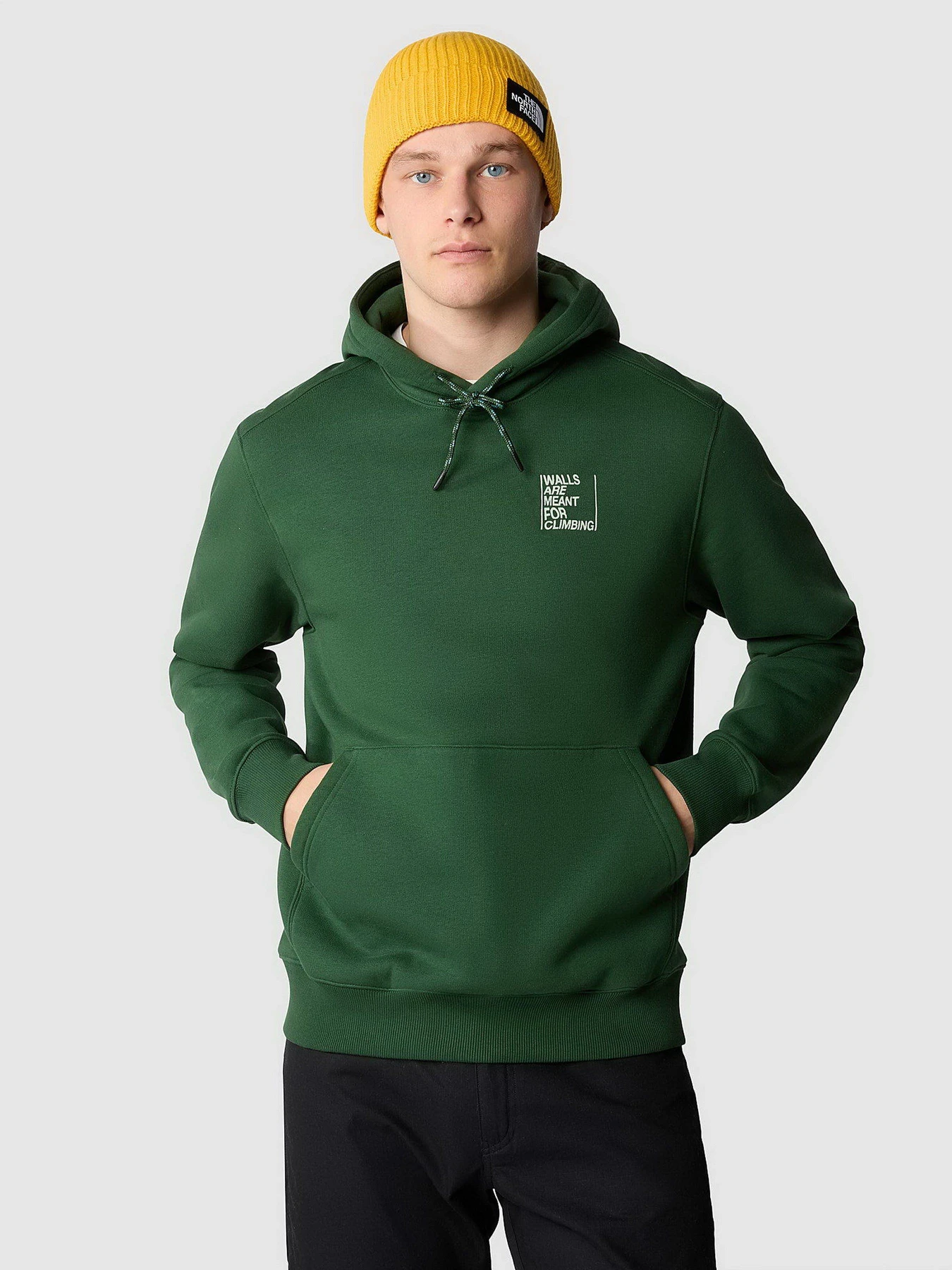 Худи и свитшоты The North Face Outdoor Graphic модель NF0A8522I0P1 Худи и свитшоты The North Face Outdoor Graphic модель NF0A8522I0P1 Фото