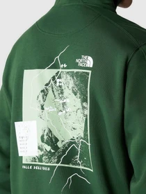 Худи и свитшоты The North Face Outdoor Graphic модель NF0A8522I0P1 Фото