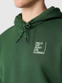 Худи и свитшоты The North Face Outdoor Graphic модель NF0A8522I0P1 Фото