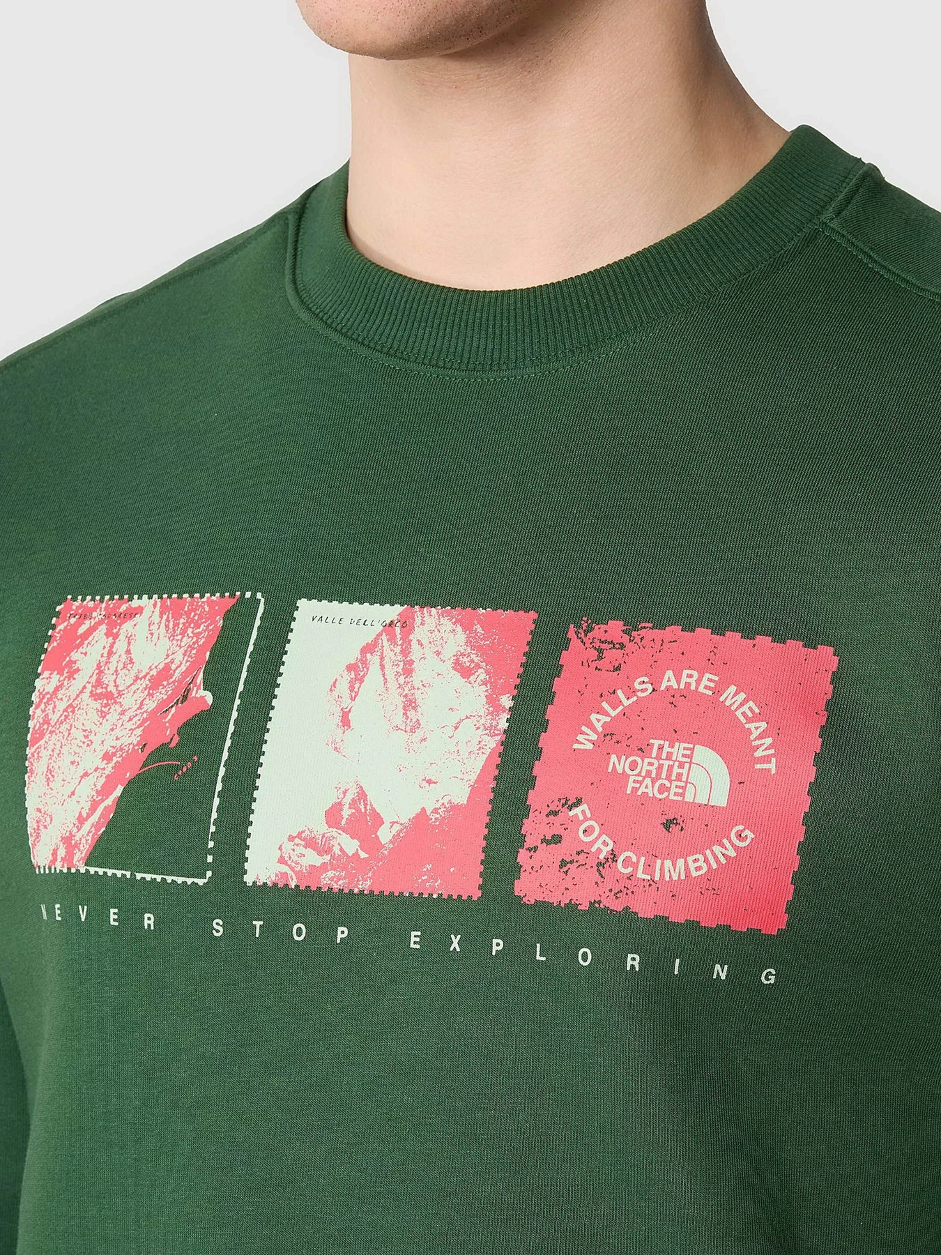 Худи и свитшоты The North Face Outdoor Graphic Crew модель NF0A8523I0P1 Худи и свитшоты The North Face Outdoor Graphic Crew модель NF0A8523I0P1 Фото