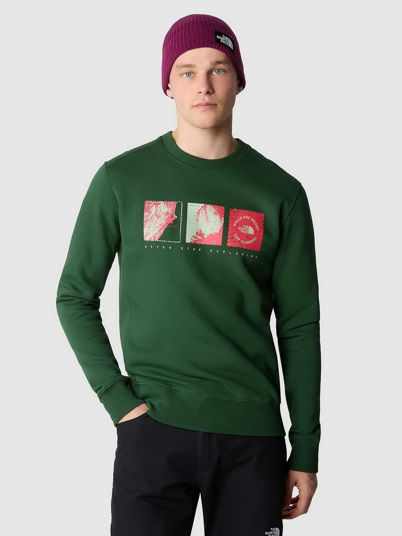 Худи и свитшоты The North Face Outdoor Graphic Crew модель NF0A8523I0P1 Худи и свитшоты The North Face Outdoor Graphic Crew модель NF0A8523I0P1 Фото