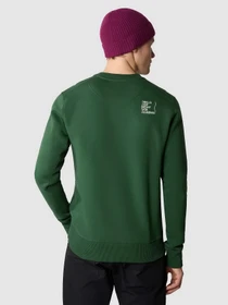 Худи и свитшоты The North Face Outdoor Graphic Crew модель NF0A8523I0P1 Фото