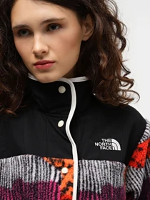 Худі та світшоти The North Face Cragmont модель NF0A84IEOT21 Фото