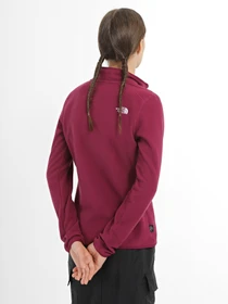 Худи и свитшоты The North Face 100 GLACIER 1/4 ZIP модель NF0A855MI0H1 Фото