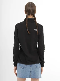 Худи и свитшоты The North Face 100 GLACIER 1/4 ZIP модель NF0A855MJK31 Фото
