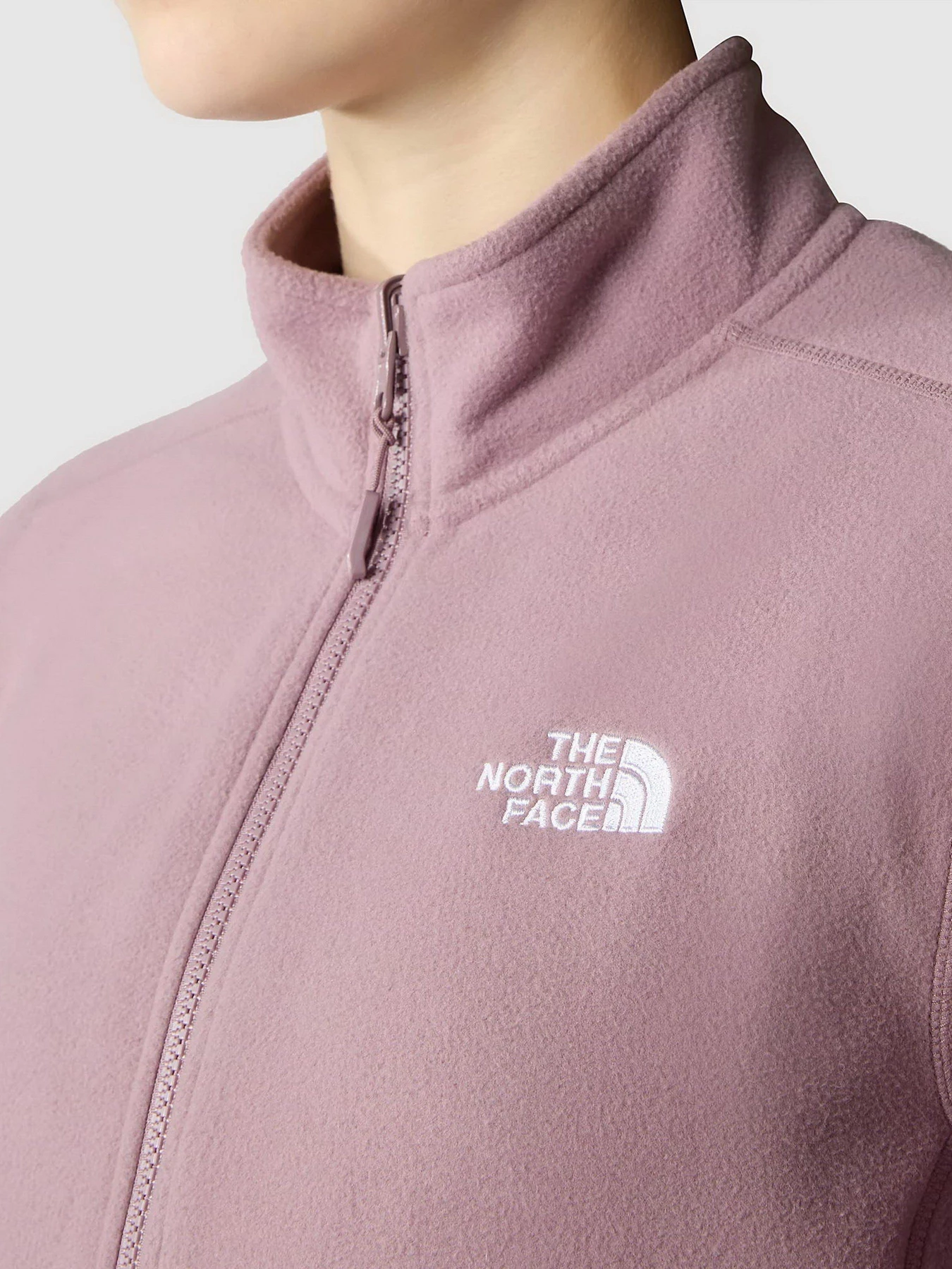 Худі та світшоти The North Face 100 Glacier Full Zip модель NF0A855OI0V1 Худі та світшоти The North Face 100 Glacier Full Zip модель NF0A855OI0V1 Фото