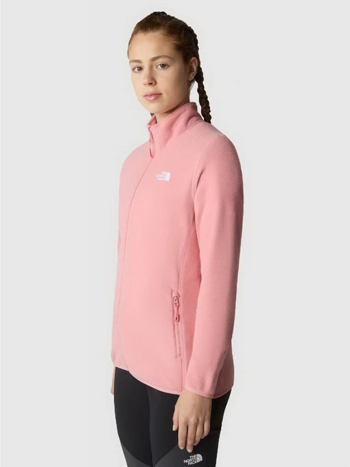Худи и свитшоты The North Face 100 Glacier модель NF0A855OI0R1 Фото