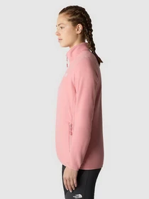 Худи и свитшоты The North Face 100 Glacier модель NF0A855OI0R1 Фото