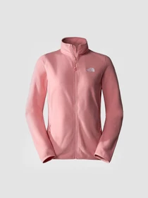 Худи и свитшоты The North Face 100 Glacier модель NF0A855OI0R1 Фото